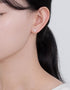 Vibrant V-Shaped Cubic Zirconia Studs in Sterling Silver